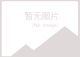 栾川县字迹咨询有限公司